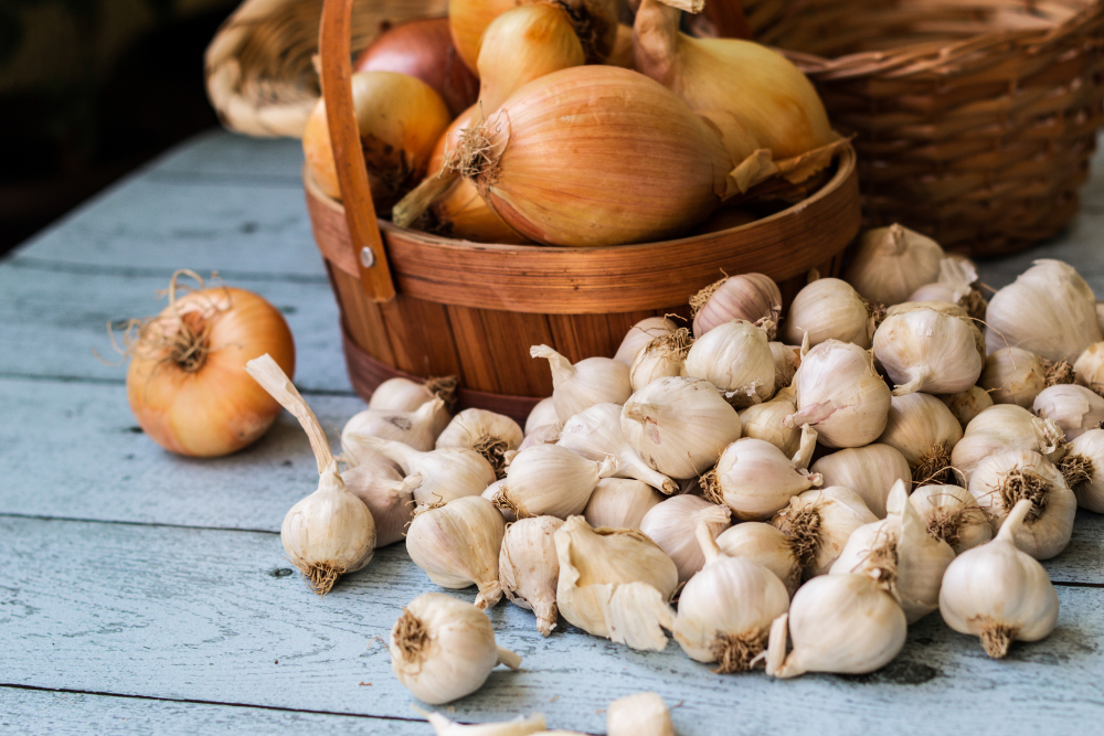 The Golden Cloves: Africa’s Garlic and its Multifaceted Importance